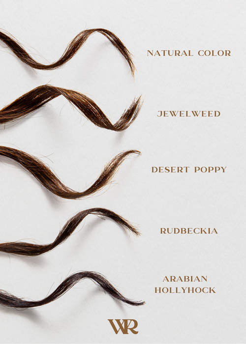 Back Bar Rudbeckia | Dark Brunette | Flower Hair Color Powder