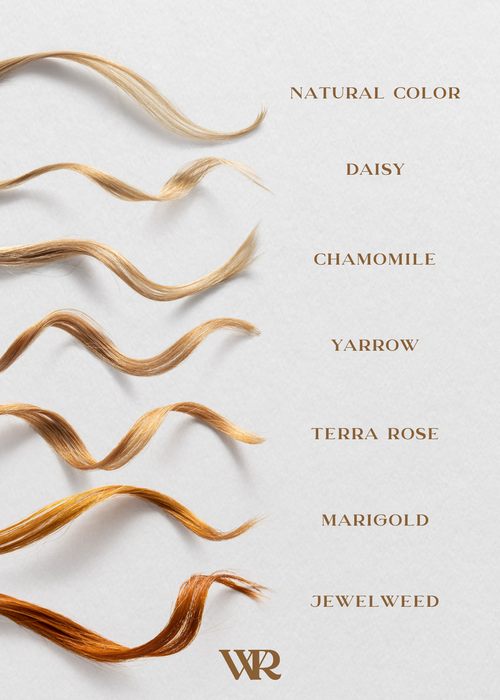 Yarrow | Sable Blonde | Flower Hair Color Powder